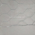 Hot dipped Galvanized Chicken Wire Mesh